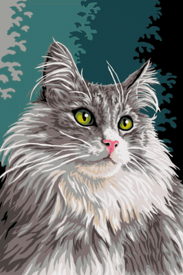 Katzenporträt-Serie: Béla