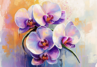 Orchidee